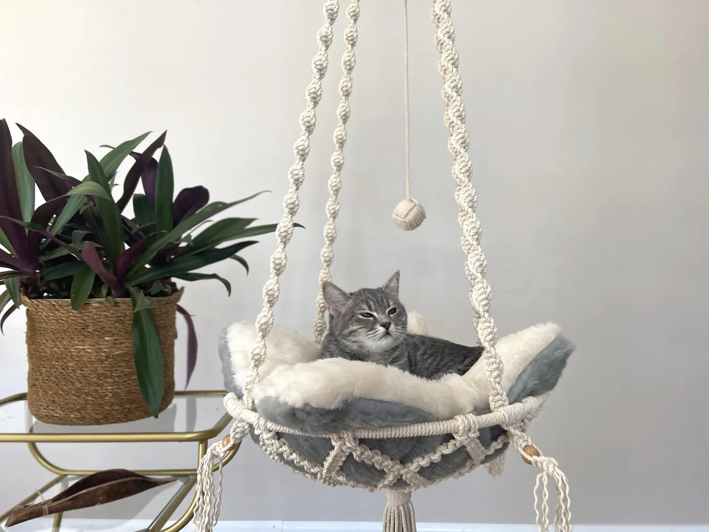 🐾 MeshMesh Macrame Pet Hammock – Cozy Boho Bed for Cats & Small Dogs