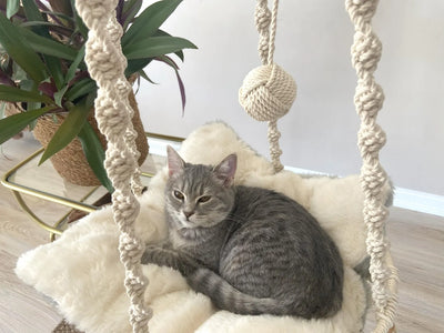 🐾 MeshMesh Macrame Pet Hammock – Cozy Boho Bed for Cats & Small Dogs