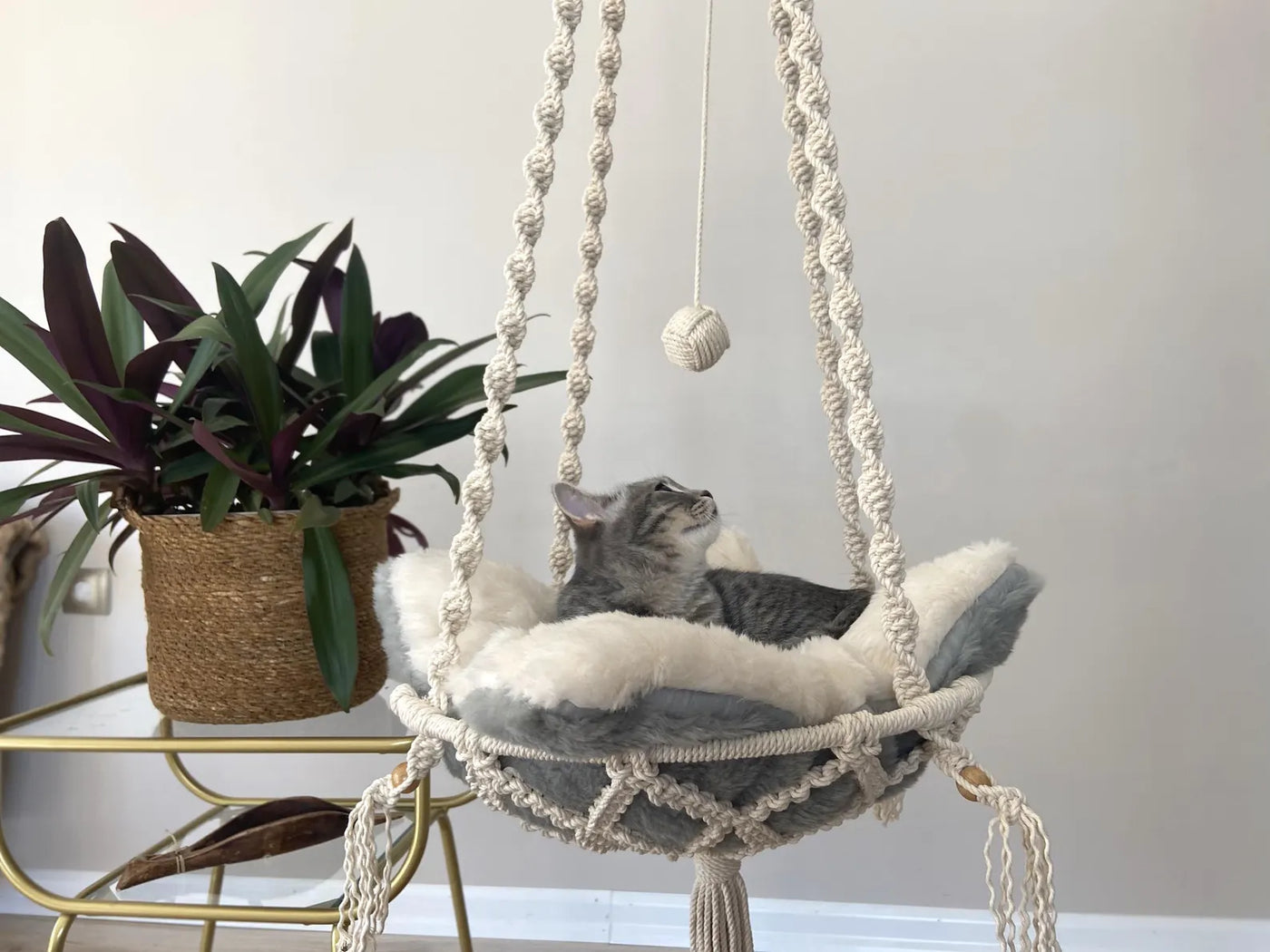 🐾 MeshMesh Macrame Pet Hammock – Cozy Boho Bed for Cats & Small Dogs